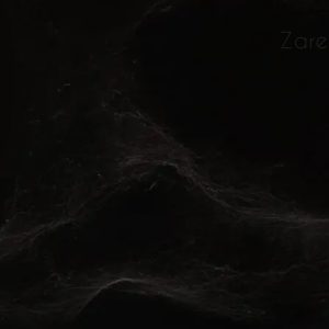 مرمریت اسپایدر مشکی | ZareStone | سنگ خاص با طرح عنکبوتی